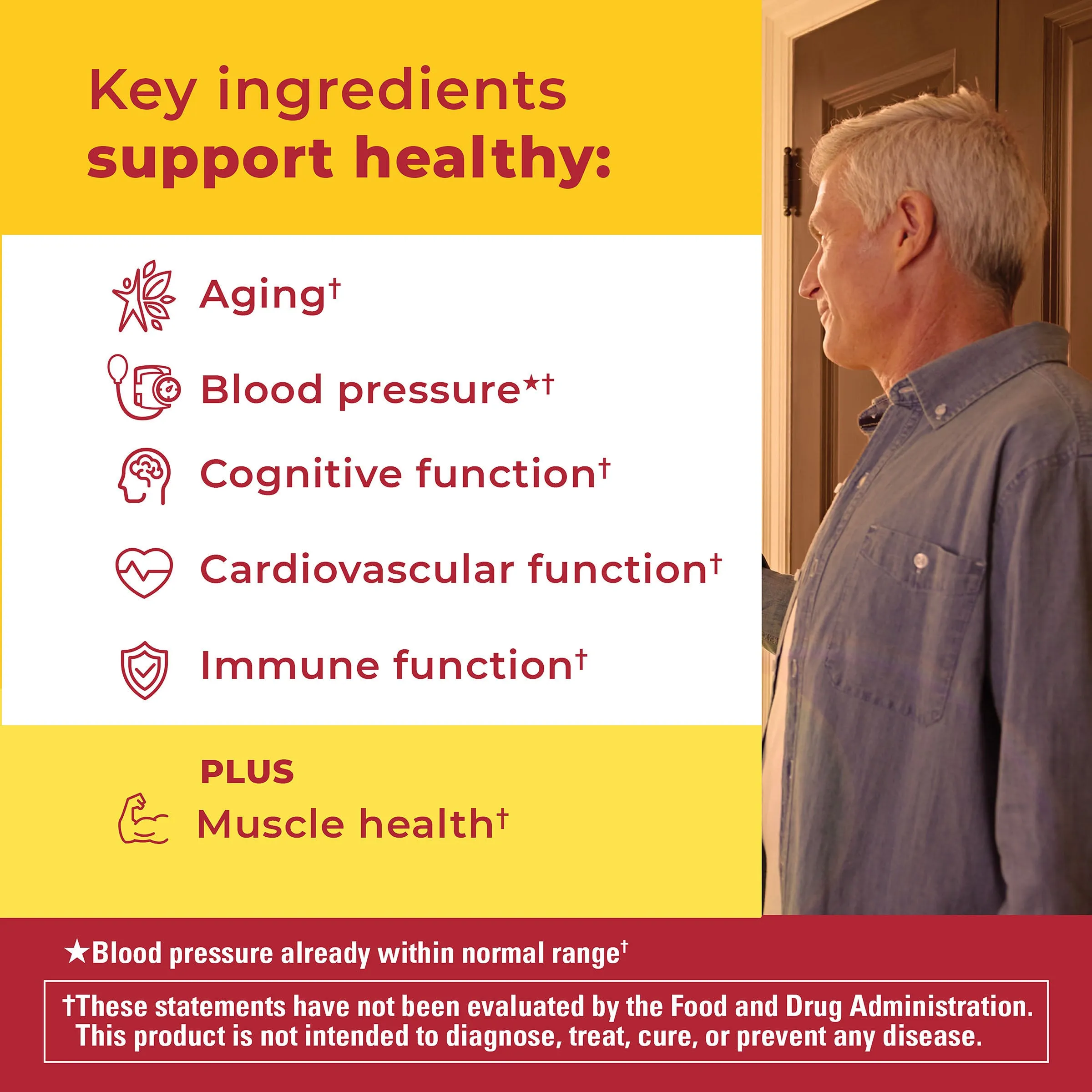 Advanced Multivitamin 50  For Him Gummies