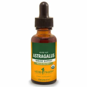 Astragalus by Herb Pharm