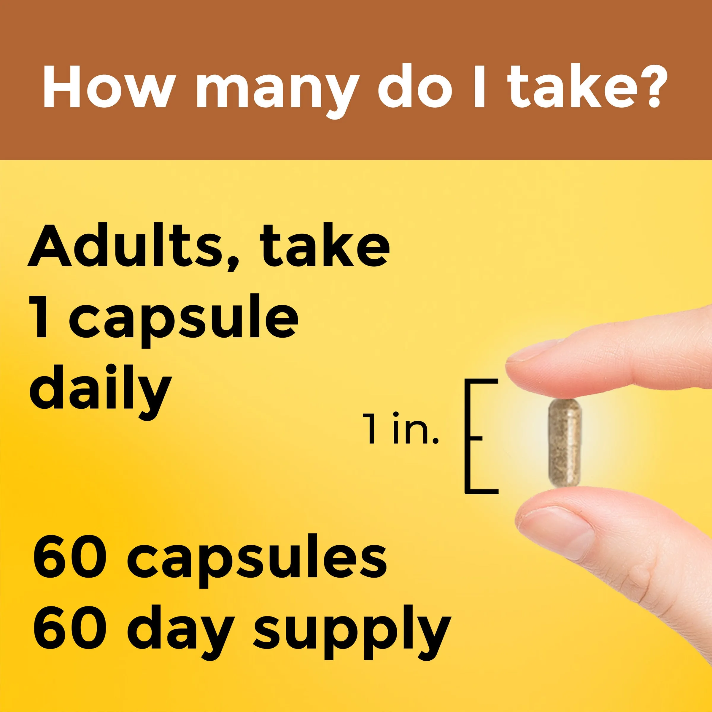 Multi   Ashwagandha Capsules