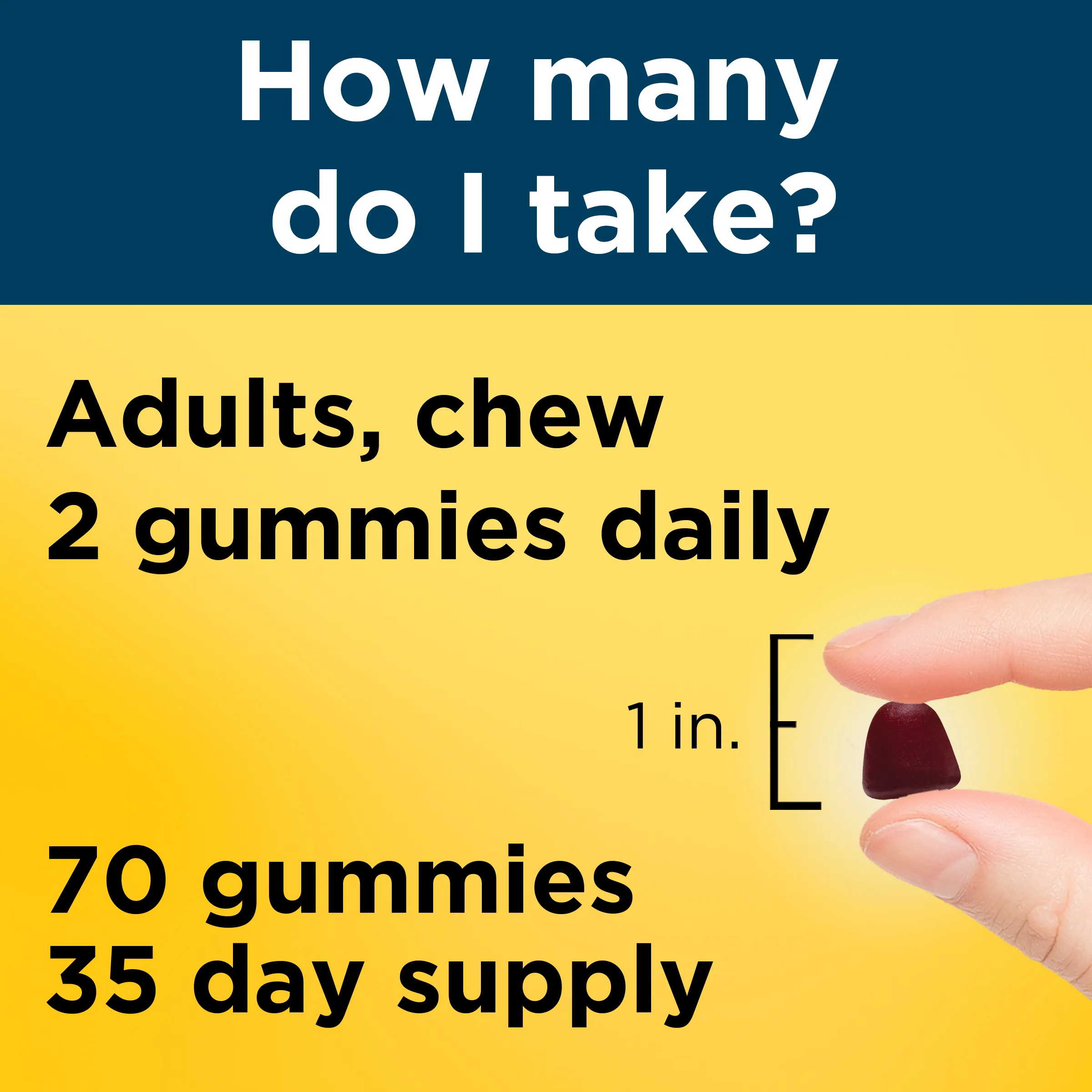 Multi for Him Gummies