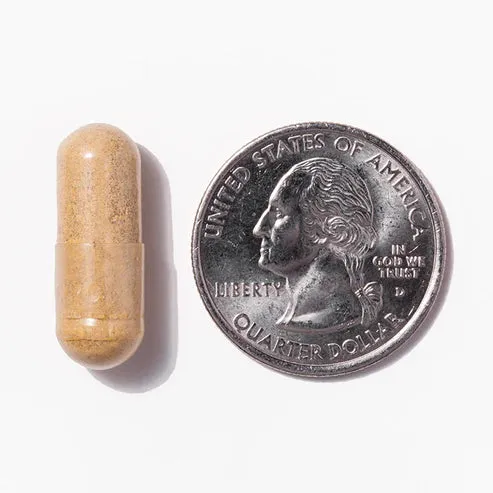 Multivitamin | Iron Free | Capsule