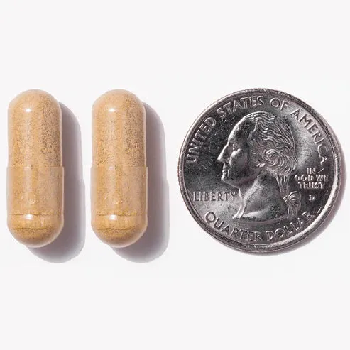 Multivitamin   Probiotics | 45mg Iron | Capsule