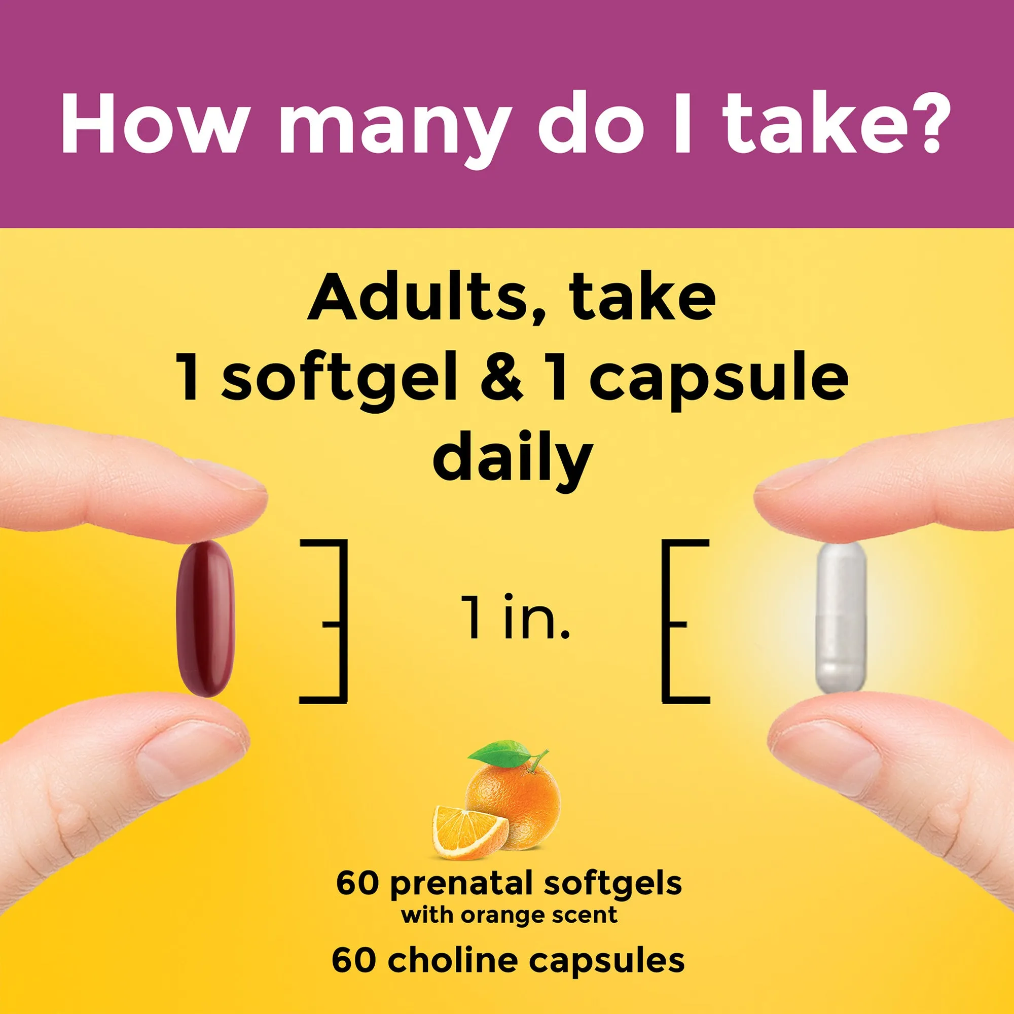 Prenatal Multivitamins   Choline Capsules